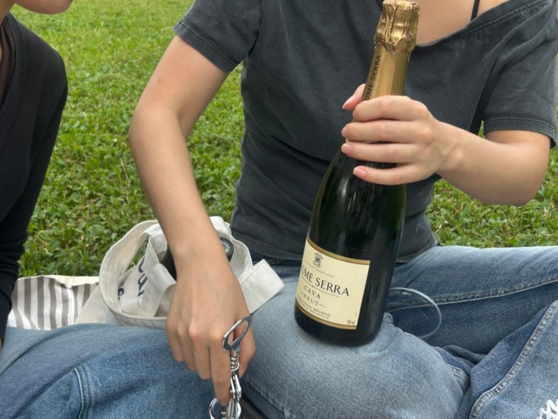 [Ichon-dong Wine Shop] Hoe-knic at Ichon Hangang Park, a Picnic Paradise