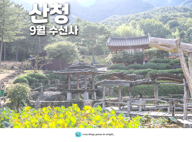 추석연휴 경남 가볼만한곳 산청 수선사 9월여행