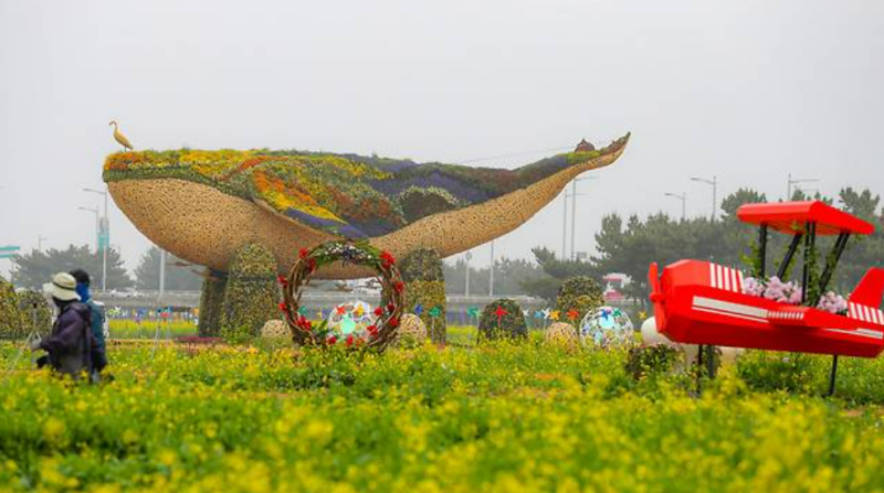공항만 가던 영종도, 이렇게 달라집니다! 꼭 가봐야 할 영종도 갈만한 곳
