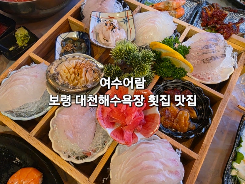 충남 보령 대천해수욕장 횟집 맛집 여수어람 ! 제철 대하 활어 여행 회식