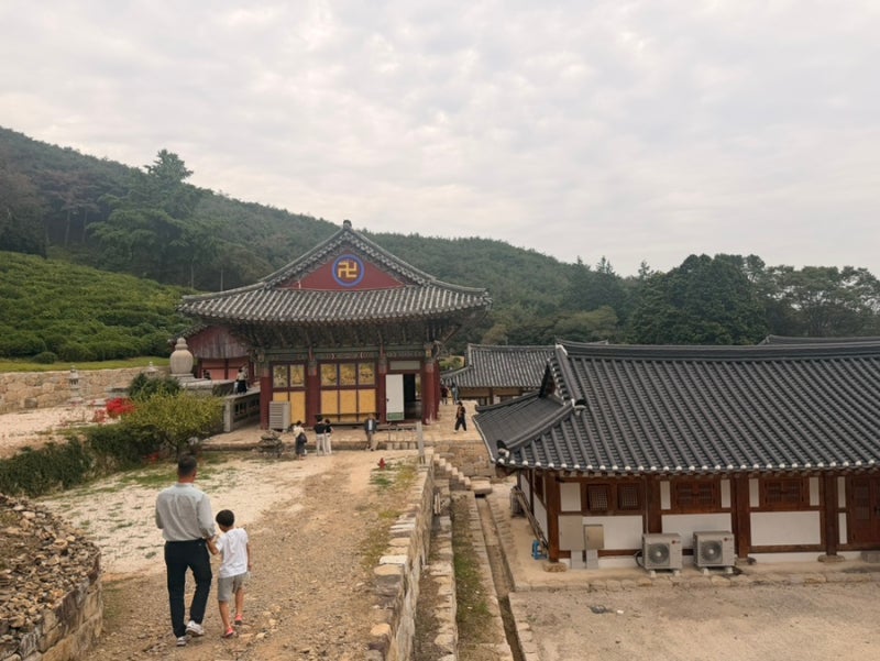경남 사천 단풍 명소 다솔사 녹차밭 봉명산 등산까지 걷기 좋은 사찰