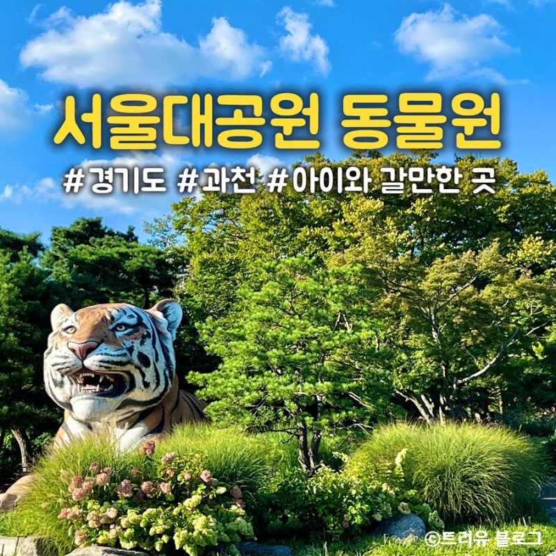 경기도 아이와 갈만한곳 | 과천 서울대공원 동물원 아기 쉼터 위치부터 코스 추천까지 꿀팁