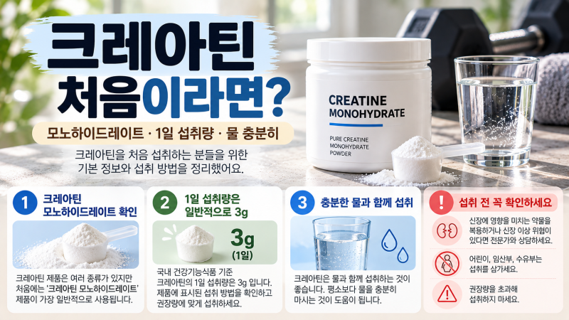 크레아틴 처음 먹는다면? 효과·먹는 법·하루 섭취량 정리
