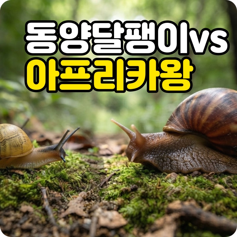 동양달팽이 아프리카왕달팽이 뭐가 다를까? 크기부터 생김새까지 비교해보니
