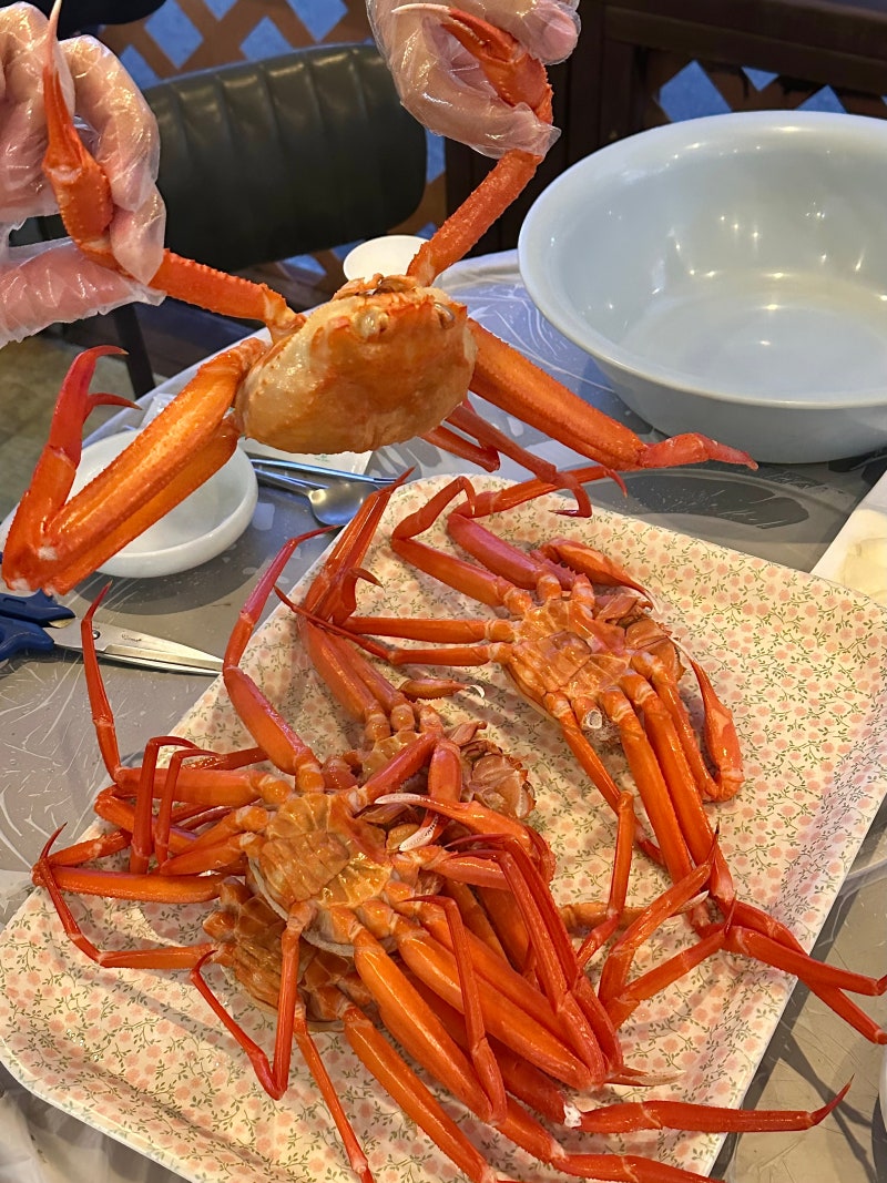 속초 청초호 맛집 대게나라 홍게 무한리필 애견동반 가능