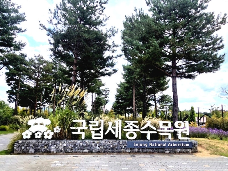 세종 가볼만한곳 국립세종수목원 추석연휴 무료입장