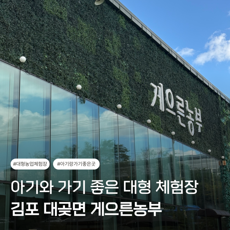 [김포 체험장 추천] 36개월 아기 놀거리 가득한 게으른농부 농업체험장