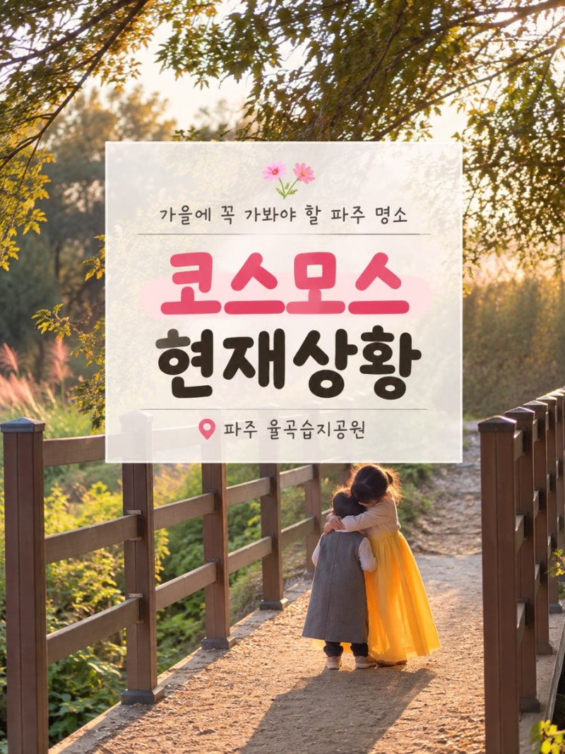 파주 율곡습지공원 코스모스 현재상황 : 아이랑 9월 말 방문