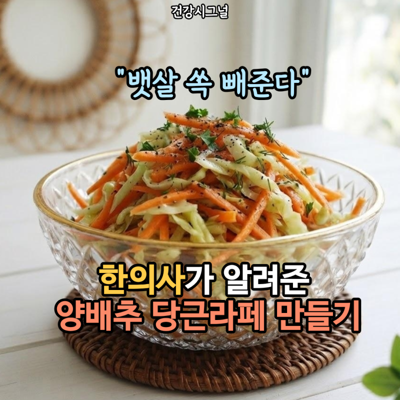 "뱃살 쏙 빼준다" 한의사가 알려준 양배추 당근라페 만들기, 3분 황금비율 레시피