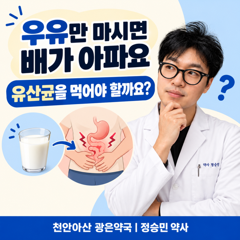 우유만 마시면 배가 아픈데 유산균을 먹어야 할까요? 유당불내증과 락타아제 선택법 _천안아....