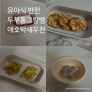 : 유아식 반찬 두부동그랑땡 _ 애호박새우전 무염 레시피