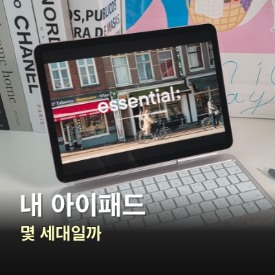 아이패드 세대 확인법, 모델 번호로 아이패드 종류까지 구분