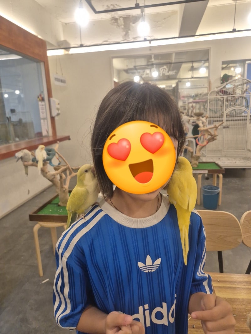김해 아이랑 가볼만한곳 실내 | 삼계동 리프패럿 앵무새카페 먹이주기 체험 후기