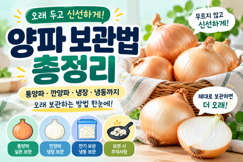 양파 보관법 총정리｜통양파·깐양파 냉장·냉동 보관하는 방법