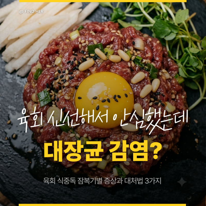 육회 식중독, 신선해서 안심했는데 대장균 감염? 잠복기별 증상과 대처법 3가지