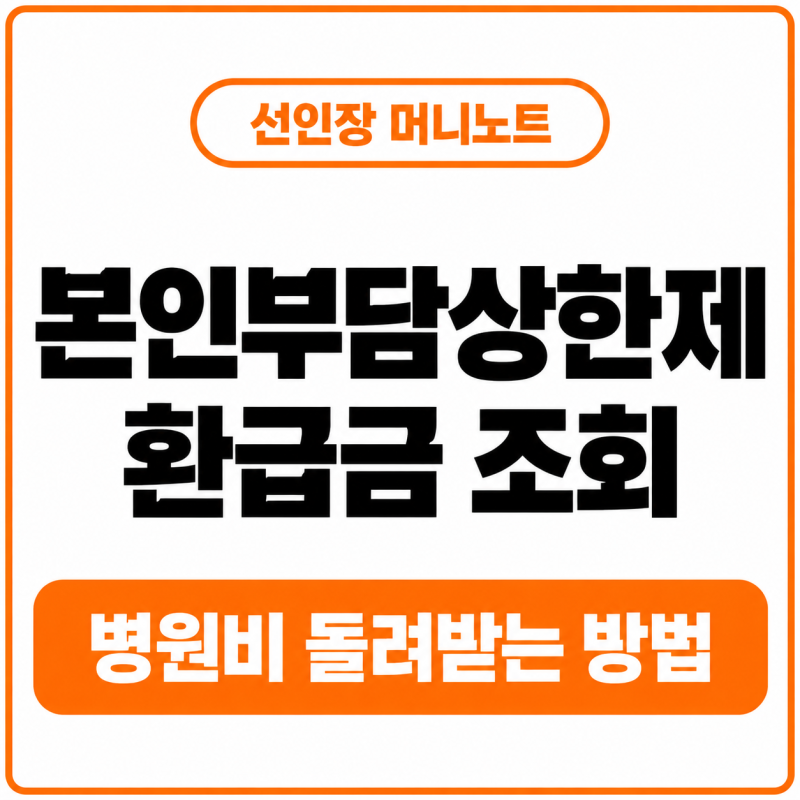 본인부담상한제 환급금 조회법