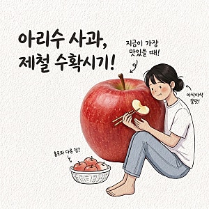 아리수 사과 실온에 두면 푸석해짐 제철 수확시기 품종 맛 홍로 차이