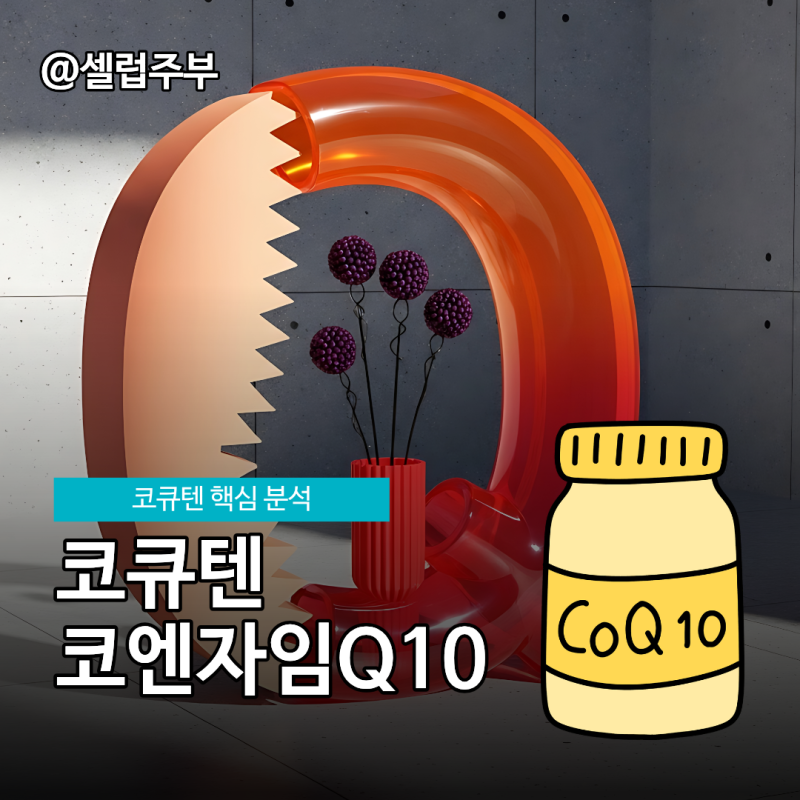 코큐텐 결핍, 코엔자임Q10 추천!