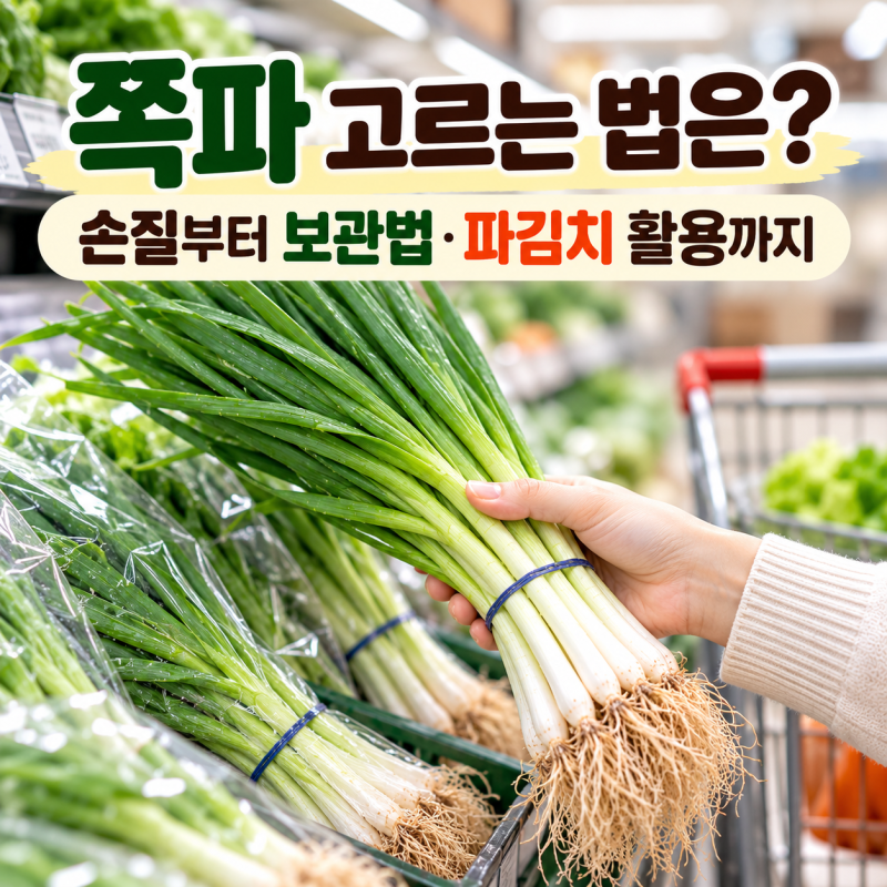 쪽파 고르는 법은? 손질부터 보관법·파김치 활용까지