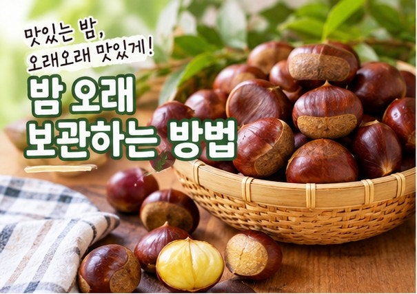 밤 오래 보관하는 방법 냉장 냉동 보관 꿀팁