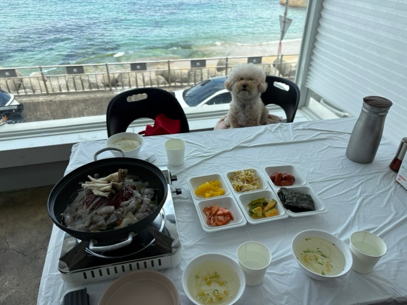 속초 등대해수욕장 맛집 애견동반이 가능한 짜글낙지 바다뷰 맛집 등대곳간