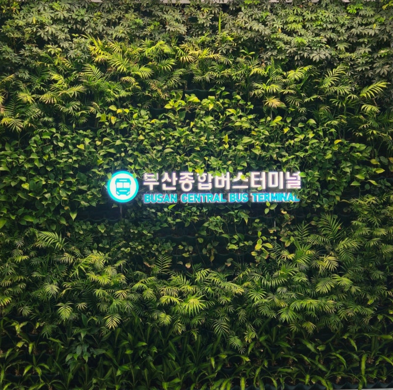 부산종합버스터미널(노포터미널) 버스시간표 버스 예매사이트2026.9월 현재