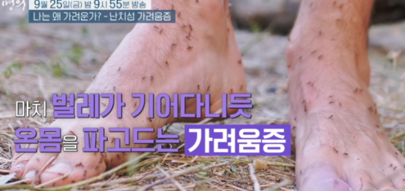 ebs 명의 강남성심병원 피부과 김혜원 교수 프로필, 난치성 가려움증 원인 옴일 수도? 가족까....