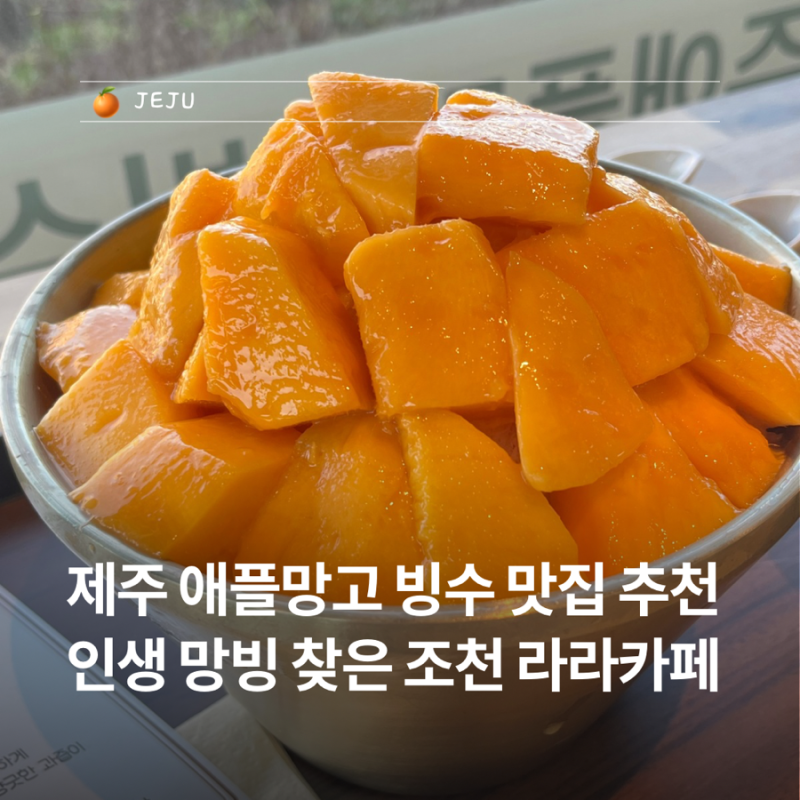 제주 애플망고 빙수 맛집 추천, 인생 망빙 찾은 조천 라라카페