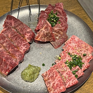 [나고야] 나고야  사카에 야끼니꾸 톤비 사카에점  후기