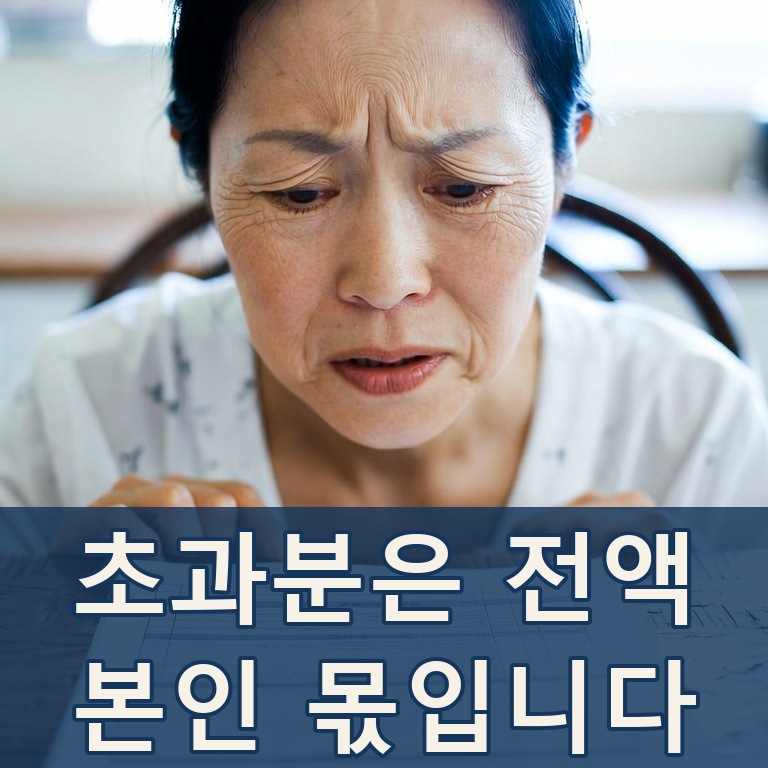 장기요양 1·2등급 재가 한도 20만원 넘게 올랐습니다, 초과분은 본인 몫입니다