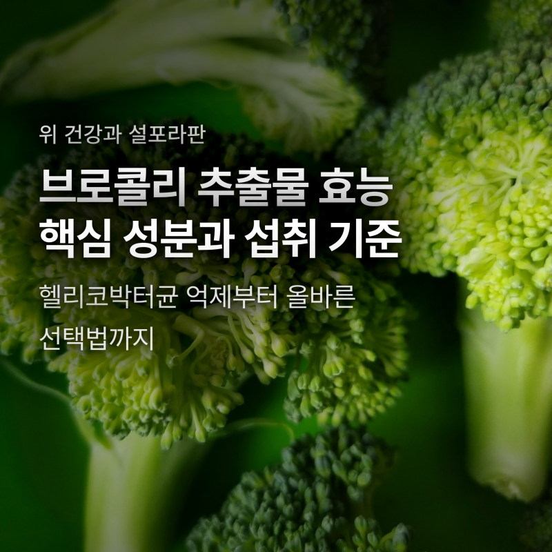 브로콜리 추출물 효능과 설포라판, 데쳐 먹기보다 추출물 찾는 결정적 이유