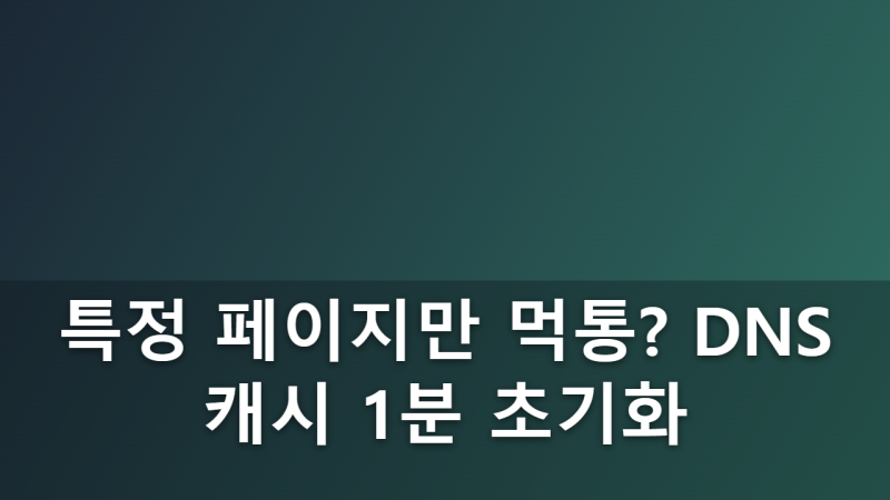 DNS 서버 변경 및 네트워크 어댑터 캐시 초기화에 관한 자주 묻는 질문