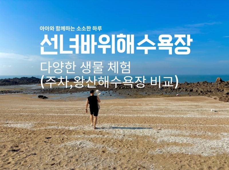 영종도 해수욕장 아이랑 선녀바위 해수욕장 후기( 주차, 생물체험, 왕산해수욕장 비교 )