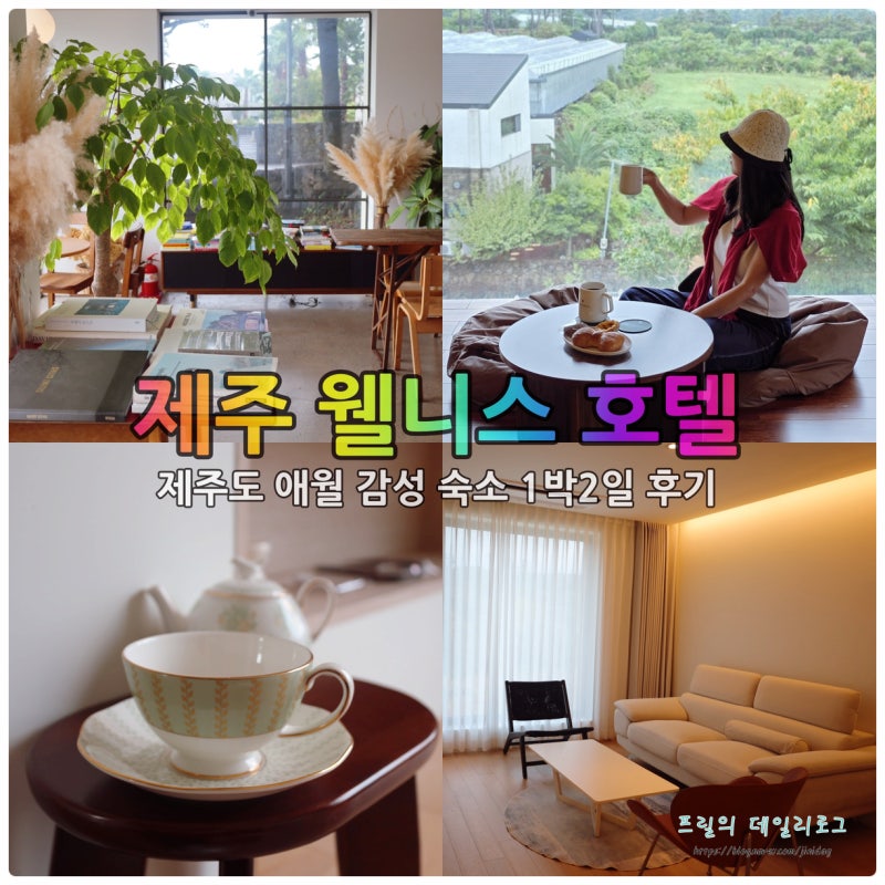 제주 애월 호텔 제주도 애월 감성숙소 1박2일 후기