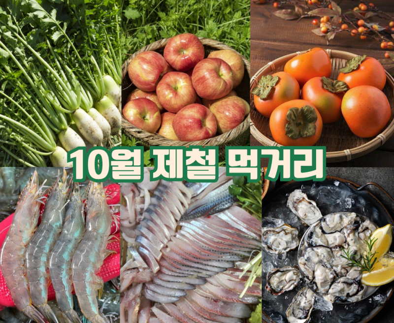 10월 제철음식 총정리 | 가을 농산물·수산물 지금 가장 맛있는 먹거리