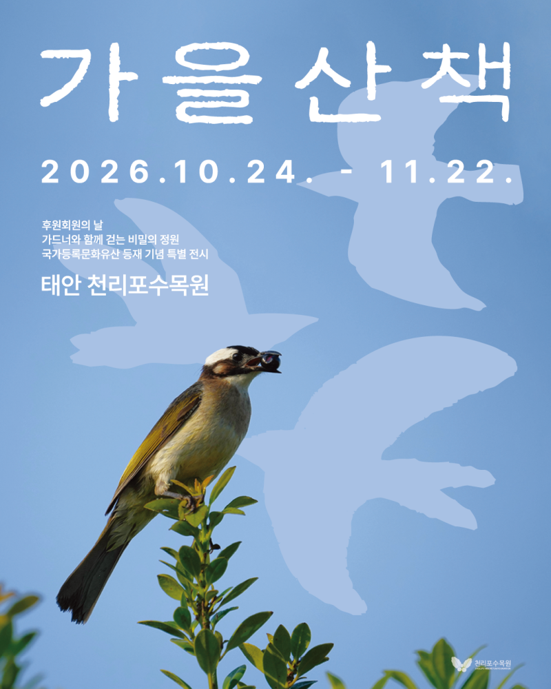 "2026 천리포수목원 가을산책 완벽 가이드": 단풍 명소, 주차 사전예약, 셔틀버스 및 실전 꿀팁....