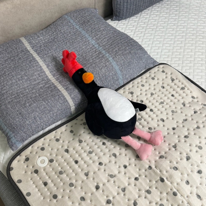 보이로 보이러 전기요 1인용 후기(2인용 안산 이유)