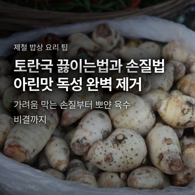 토란국 끓이는법과 손질 비결, 아린맛 독성 싹 잡는 쌀뜨물 데치기 순서