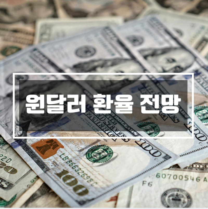 원달러 환율 전망 - 1,559원까지 갔던 환율이 왜 1,350원대로? 지금 달러 사도 될까?