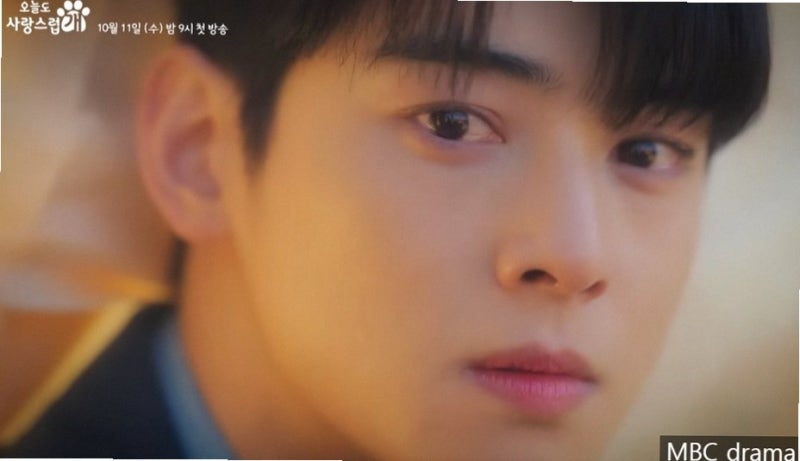 차은우 문가영 7년 만의 재회? 서라벌 나이프 출연 검토 소식에 설레는 이유