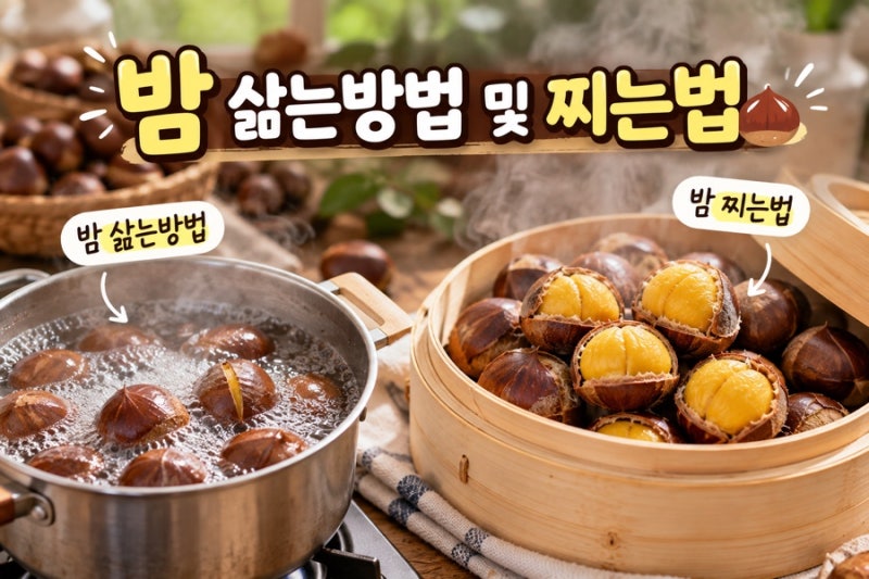 밤 삶는방법 및 찌는법 시간 비교! 껍질 쏙 벗겨지는 찬물 뜸들이기 꿀팁