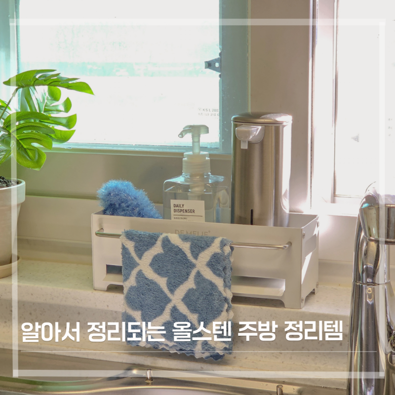 주방세제 거치대 추천 수세미까지 깔끔하게 정리한 드멜리 304 올스텐 거치대 후기