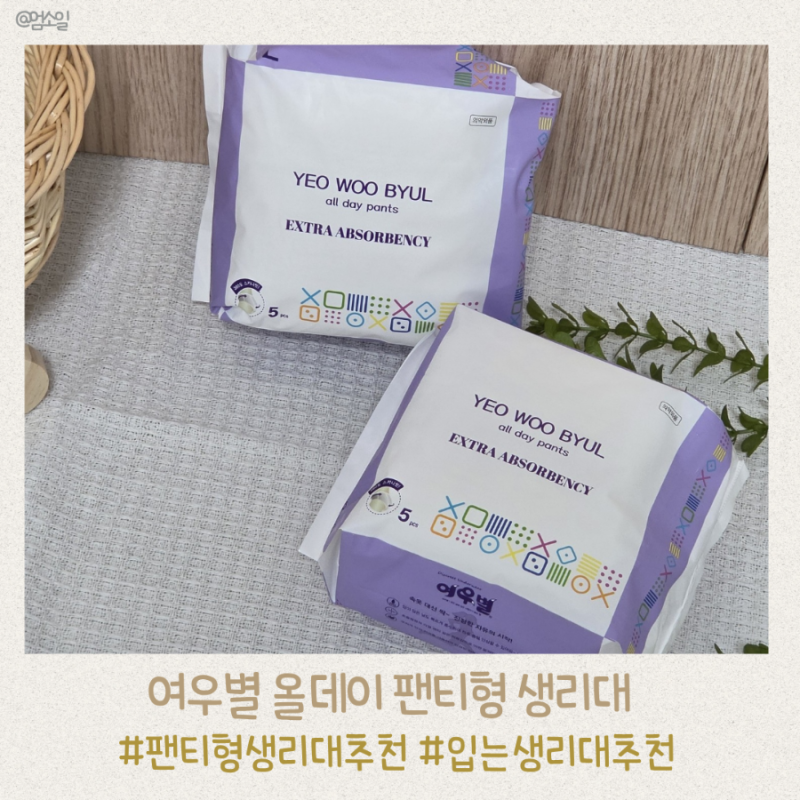 입는생리대 입는오버나이트 추천 여우별 올데이 팬티형생리대 직접 사용해본 솔직 후기