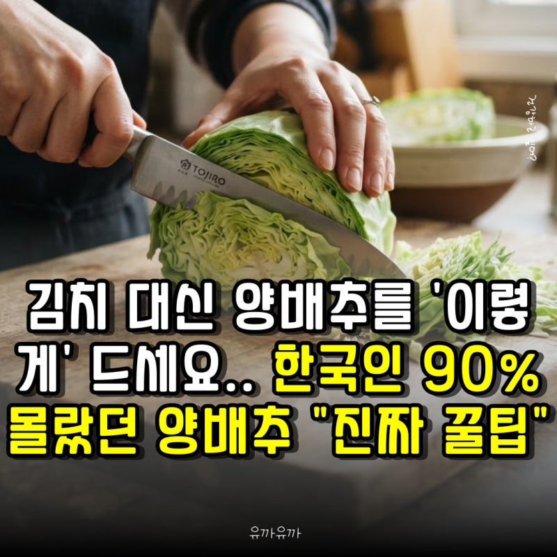 김치 대신 양배추를 '이렇게' 드세요.. 한국인 90% 몰랐던 양배추 "진짜 꿀팁"