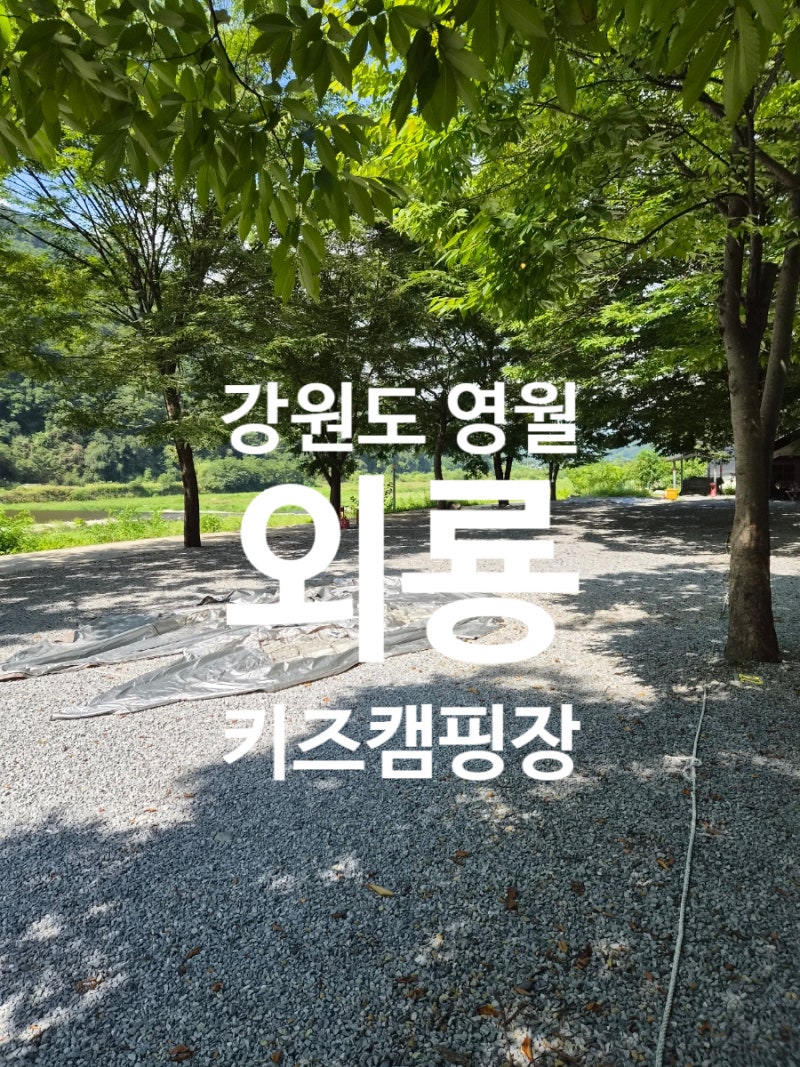 영월 외룡캠핑장 아이랑 가볼만한 곳 계곡·수영장 다 되는 영월 키즈 오토캠핑장 가을캠핑 ....