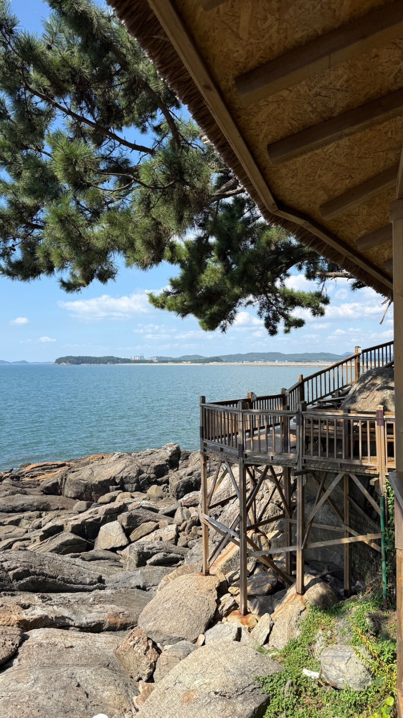 [Chungnam Boryeong] Jukdo Sanghwawon | Places to Visit in Boryeong | A Healing Walk Course Along a Forest Path by the Sea | Recommended for Family Trips.