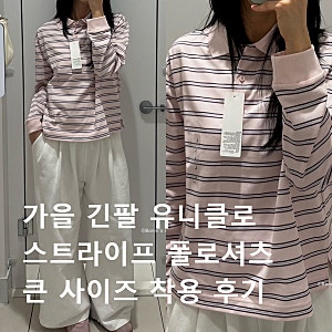 유니클로 스트라이프 폴로셔츠 큰 사이즈 착용 솔직 후기