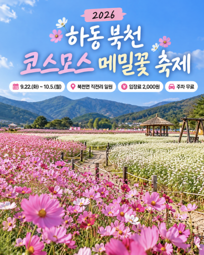 경남 가을축제 하동 북천 코스모스 메밀꽃 축제