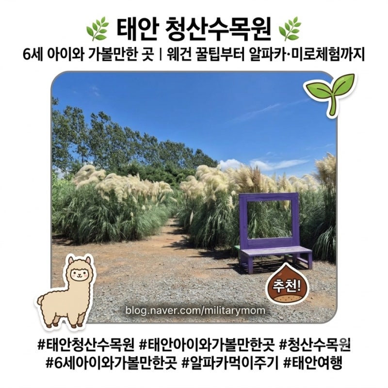 태안 청산수목원 6세 아이와 가볼만한 곳｜웨건 꿀팁부터 알파카·미로체험까지