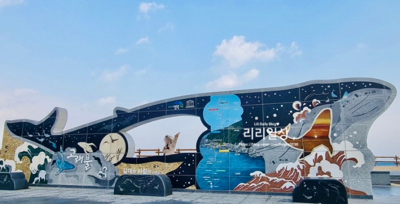 영덕 고래불해수욕장 경북 영덕 가볼만한곳 바다 여행